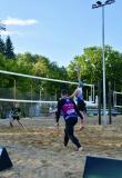 King of The Court powered by Poster | Piach i Podróże